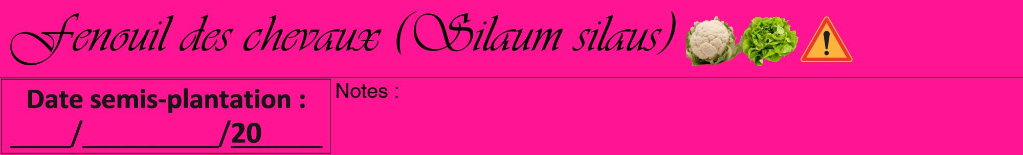 Étiquette de : Silaum silaus - format a - style noire43viv avec comestibilité simplifiée