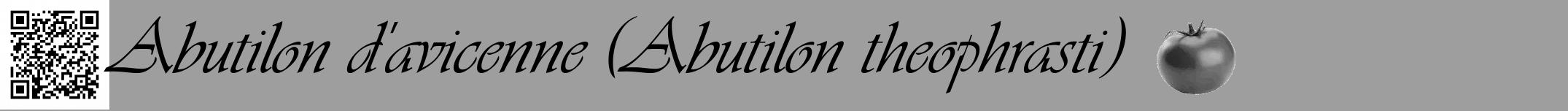 Étiquette de : Abutilon theophrasti - format a - style noire42simpleviv avec qrcode et comestibilité simplifiée