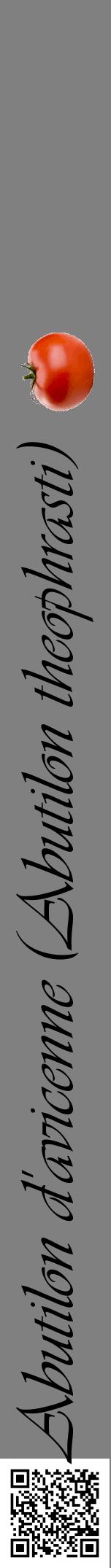 Étiquette de : Abutilon theophrasti - format a - style noire57viv avec qrcode et comestibilité simplifiée