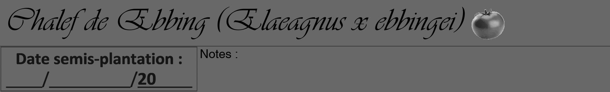 Étiquette de : Elaeagnus x ebbingei - format a - style noire6viv avec comestibilité simplifiée