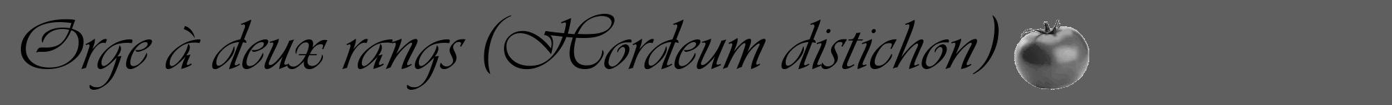 Étiquette de : Hordeum distichon - format a - style noire10viv avec comestibilité simplifiée