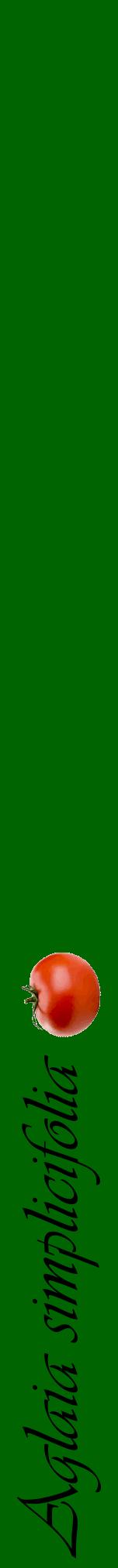 Étiquette de : Aglaia simplicifolia - format a - style noire8viv avec comestibilité simplifiée