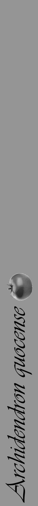 Étiquette de : Archidendron quocense - format a - style noire16viv avec comestibilité simplifiée - position verticale