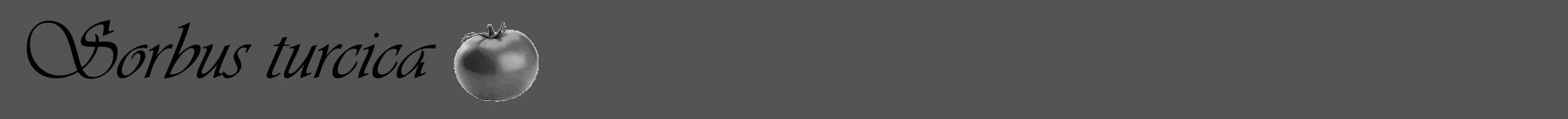 Étiquette de : Sorbus turcica - format a - style noire36viv avec comestibilité simplifiée