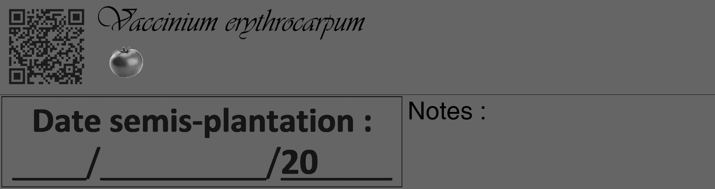 Étiquette de : Vaccinium erythrocarpum - format c - style noire32_basique_basiqueviv avec qrcode et comestibilité simplifiée