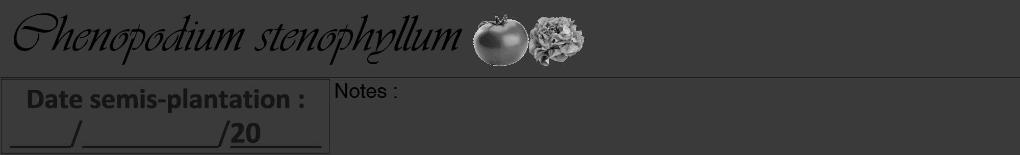 Étiquette de : Chenopodium stenophyllum - format a - style noire8viv avec comestibilité simplifiée