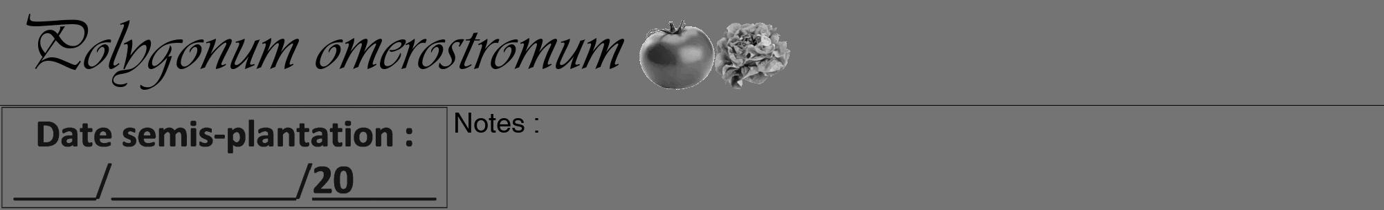 Étiquette de : Polygonum omerostromum - format a - style noire26viv avec comestibilité simplifiée