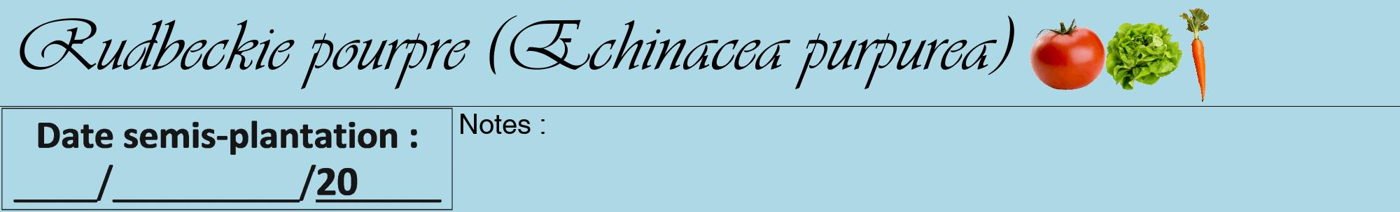 Étiquette de : Echinacea purpurea - format a - style noire0viv avec comestibilité simplifiée
