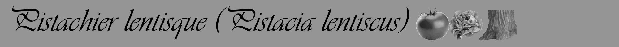 Étiquette de : Pistacia lentiscus - format a - style noire16viv avec comestibilité simplifiée