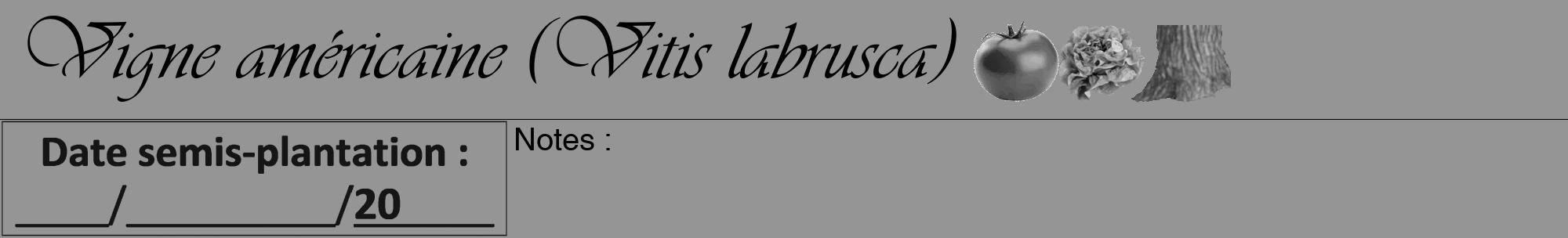 Étiquette de : Vitis labrusca - format a - style noire16viv avec comestibilité simplifiée