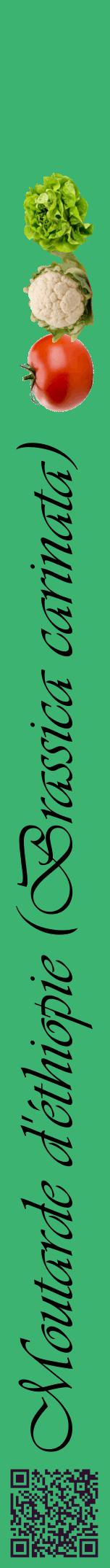 Étiquette de : Brassica carinata - format a - style noire12viv avec qrcode et comestibilité simplifiée