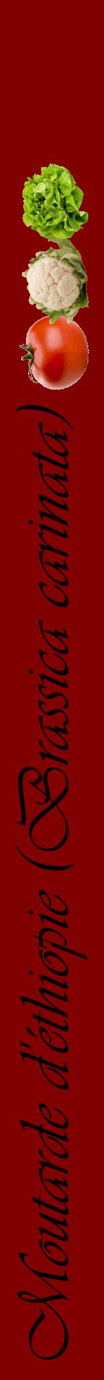 Étiquette de : Brassica carinata - format a - style noire29viv avec comestibilité simplifiée