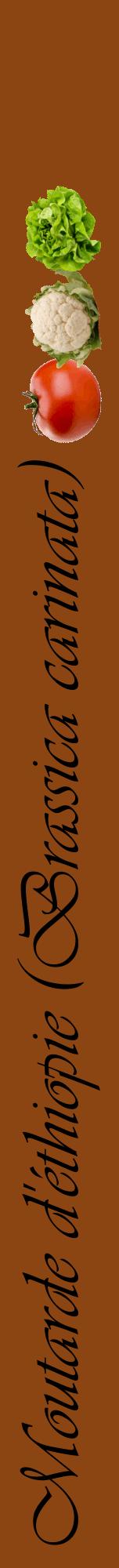 Étiquette de : Brassica carinata - format a - style noire30viv avec comestibilité simplifiée
