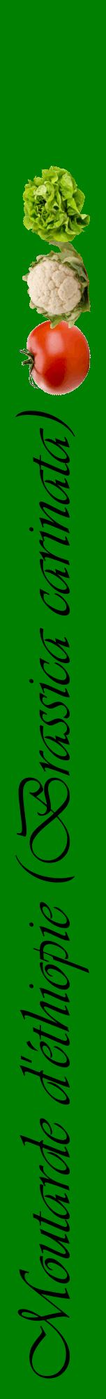 Étiquette de : Brassica carinata - format a - style noire9viv avec comestibilité simplifiée