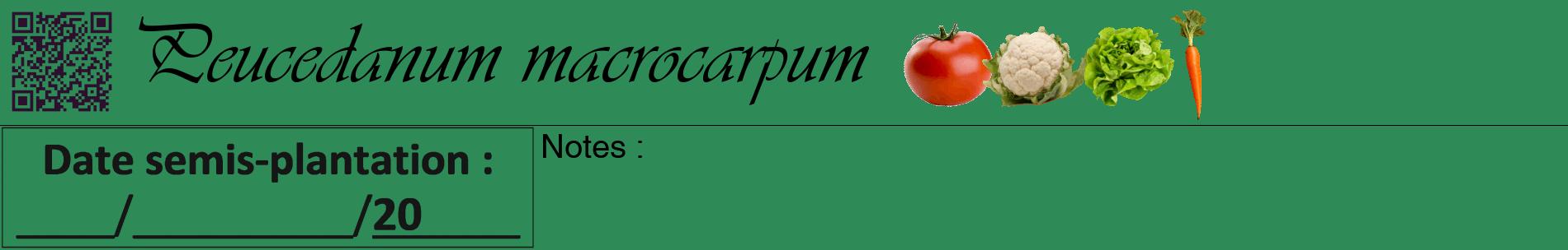 Étiquette de : Peucedanum macrocarpum - format a - style noire11basiqueviv avec qrcode et comestibilité simplifiée