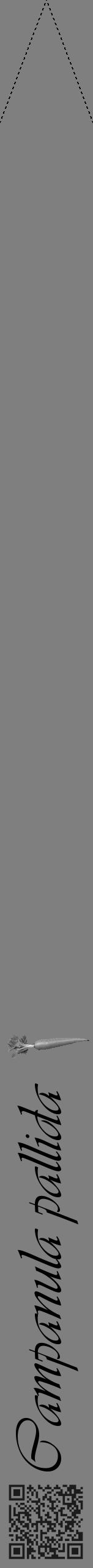 Étiquette de : Campanula pallida - format b - style noire57simpleviv avec qrcode et comestibilité simplifiée - position verticale