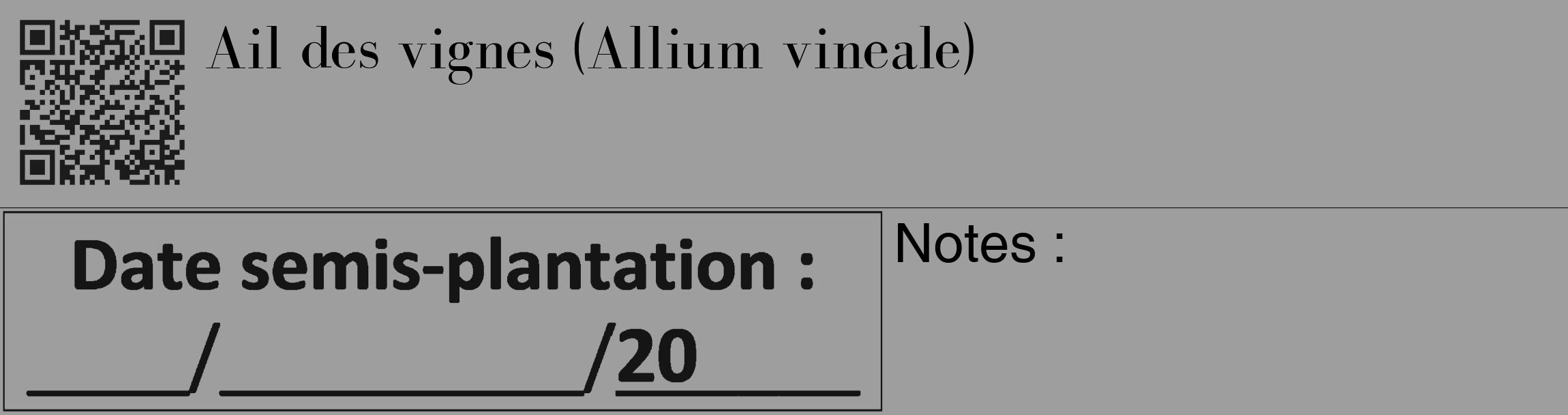 Étiquette de : Allium vineale - format c - style noire42_basique_basiquebod avec qrcode et comestibilité