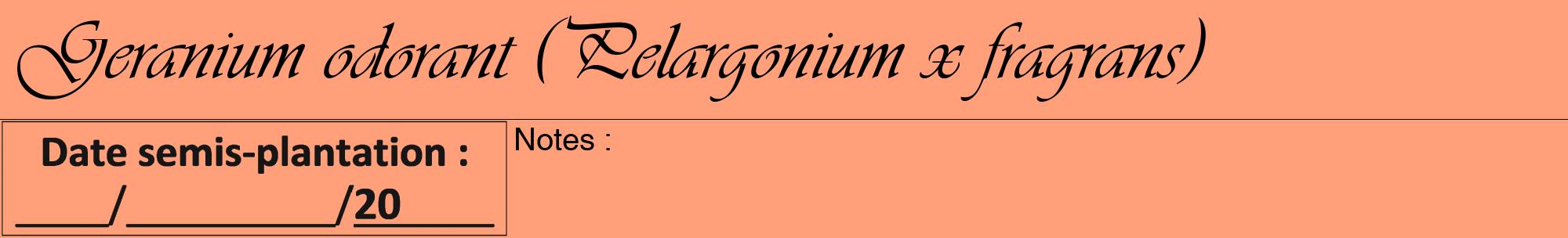 Étiquette de : Pelargonium x fragrans - format a - style noire39viv avec comestibilité