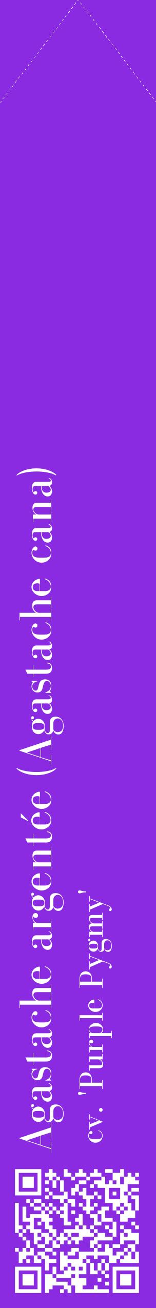 Étiquette de : Agastache cana cv. 'Purple Pygmy' - format c - style blanche49_simplebod avec qrcode et comestibilité