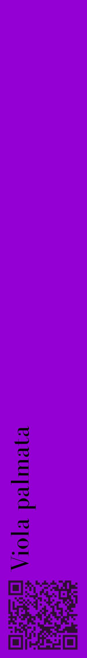 Étiquette de : Viola palmata - format c - style noire48_basiquebod avec qrcode et comestibilité