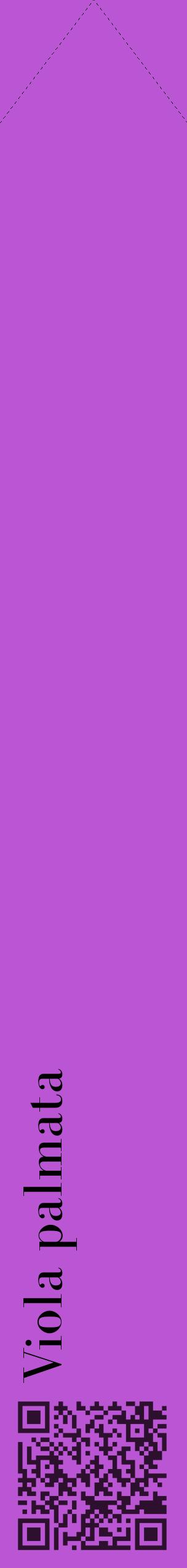 Étiquette de : Viola palmata - format c - style noire50_simplebod avec qrcode et comestibilité