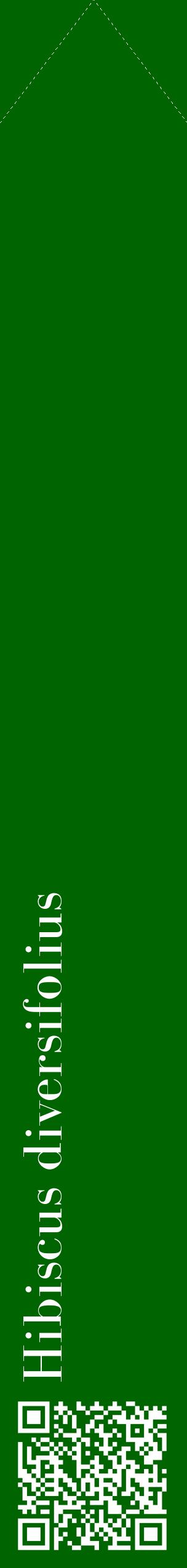 Étiquette de : Hibiscus diversifolius - format c - style blanche8_simplebod avec qrcode et comestibilité