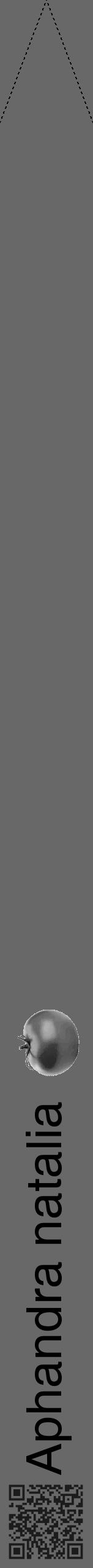 Étiquette de : Aphandra natalia - format b - style noire43hel avec qrcode et comestibilité simplifiée - position verticale