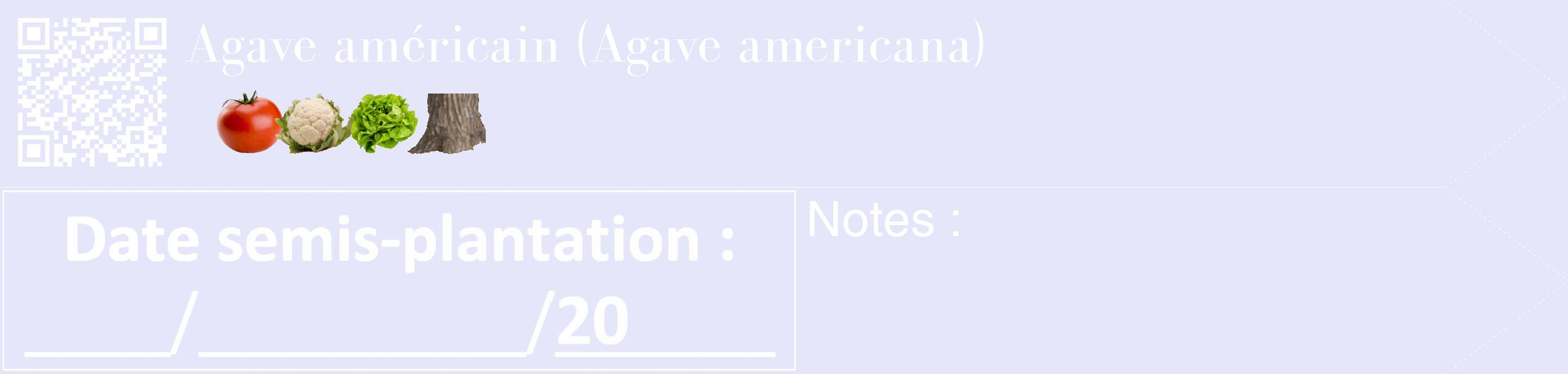 Étiquette de : Agave americana - format c - style blanche55_simple_simplebod avec qrcode et comestibilité simplifiée
