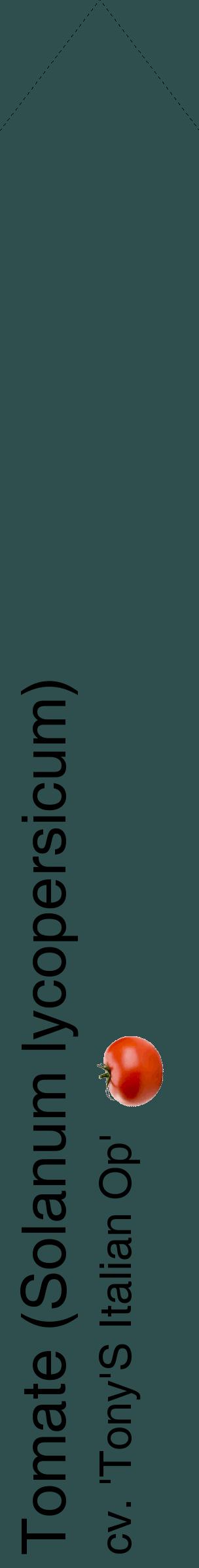 Étiquette de : Solanum lycopersicum cv. 'Tony'S Italian Op' - format c - style noire58_simplehel avec comestibilité simplifiée