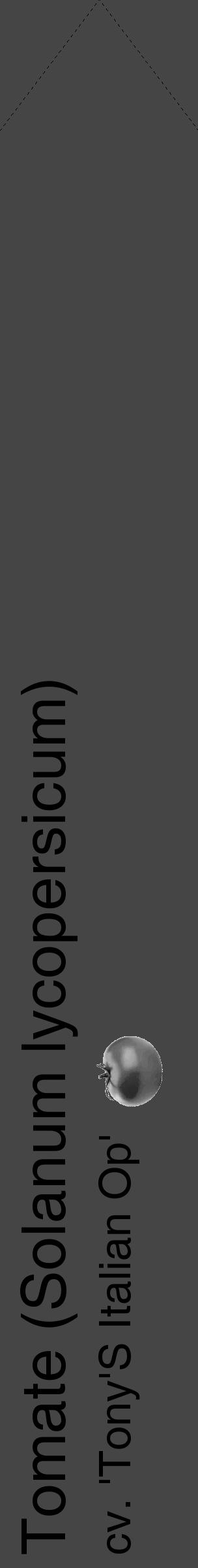 Étiquette de : Solanum lycopersicum cv. 'Tony'S Italian Op' - format c - style noire58_simple_simplehel avec comestibilité simplifiée - position verticale