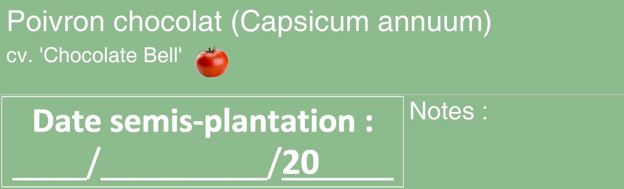 Étiquette de : Capsicum annuum cv. 'Chocolate Bell' - format c - style blanche13_basique_basiquehel avec comestibilité simplifiée