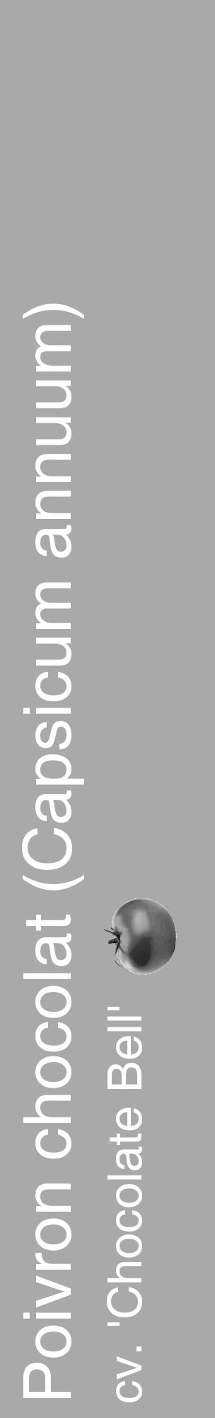 Étiquette de : Capsicum annuum cv. 'Chocolate Bell' - format c - style blanche13_basique_basiquehel avec comestibilité simplifiée - position verticale