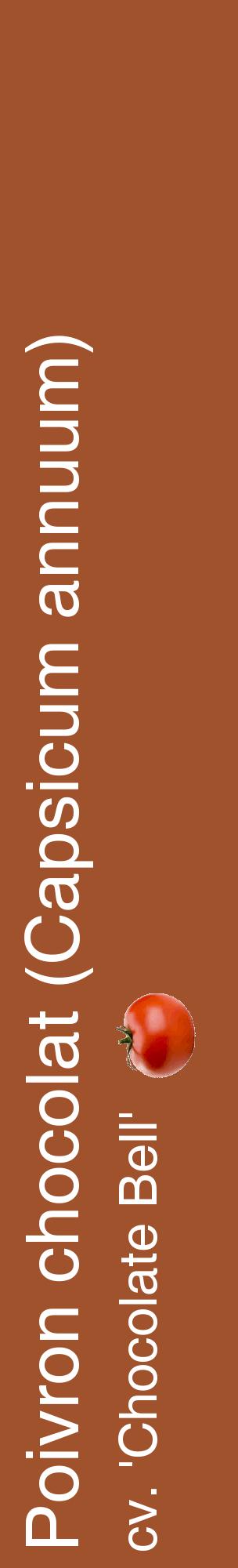 Étiquette de : Capsicum annuum cv. 'Chocolate Bell' - format c - style blanche32_basiquehel avec comestibilité simplifiée