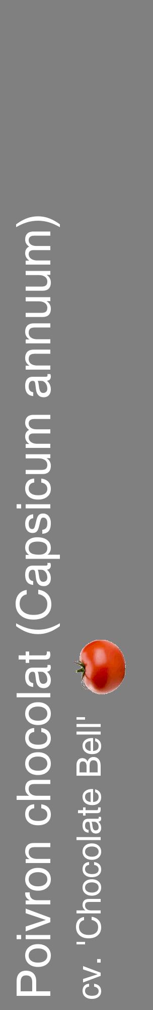 Étiquette de : Capsicum annuum cv. 'Chocolate Bell' - format c - style blanche57_basiquehel avec comestibilité simplifiée
