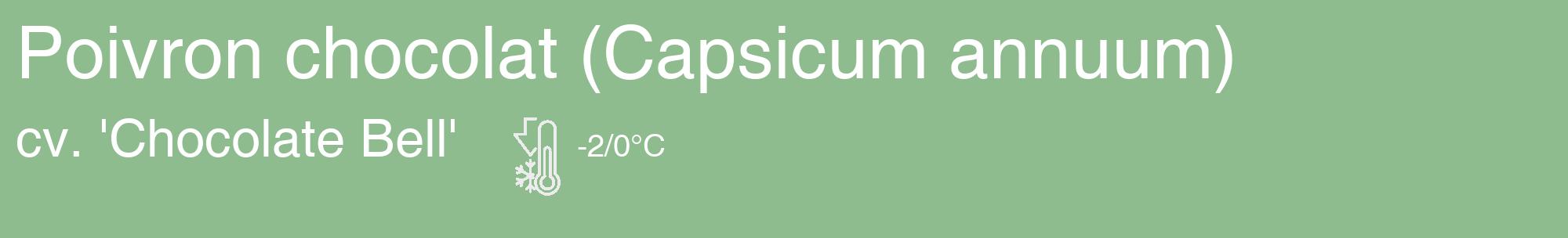 Étiquette de : Capsicum annuum cv. 'Chocolate Bell' - format c - style blanche13_basique_basiquehel avec comestibilité