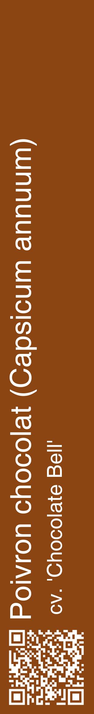 Étiquette de : Capsicum annuum cv. 'Chocolate Bell' - format c - style blanche30_basiquehel avec qrcode et comestibilité