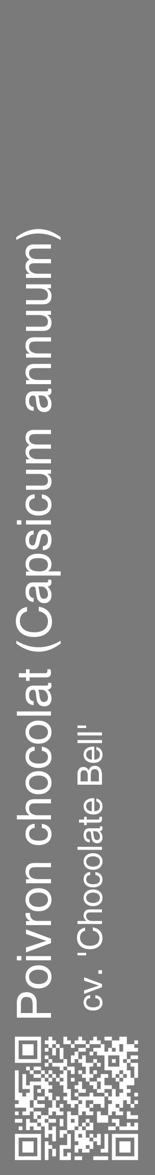 Étiquette de : Capsicum annuum cv. 'Chocolate Bell' - format c - style blanche3_basique_basiquehel avec qrcode et comestibilité - position verticale