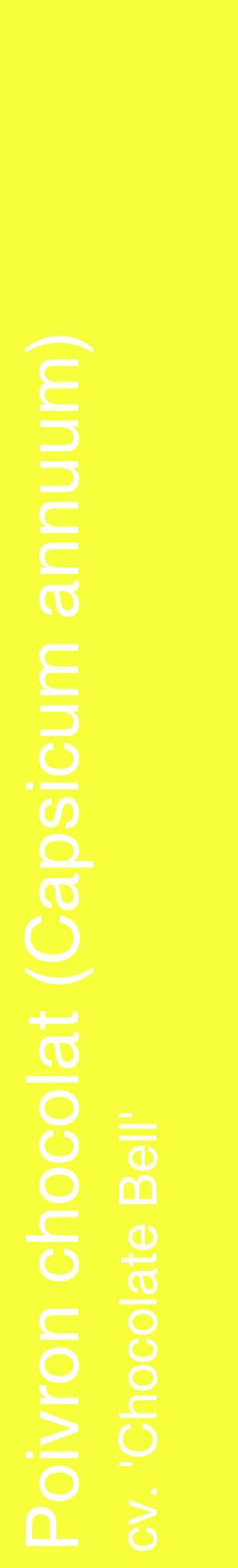 Étiquette de : Capsicum annuum cv. 'Chocolate Bell' - format c - style blanche18_basiquehel avec comestibilité