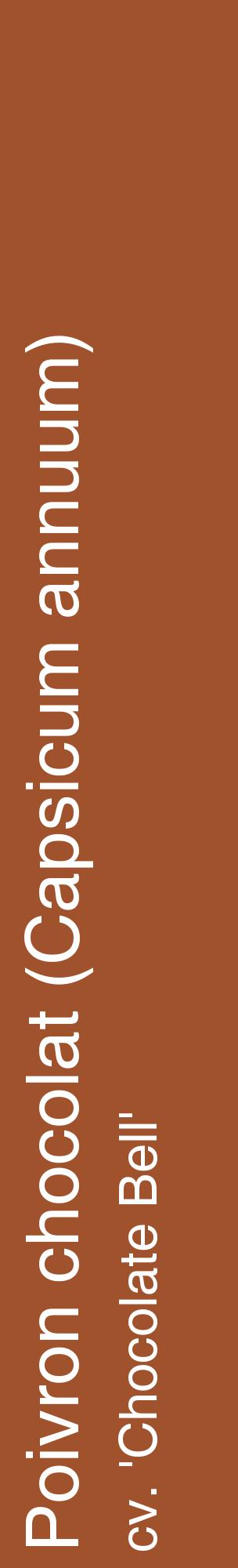 Étiquette de : Capsicum annuum cv. 'Chocolate Bell' - format c - style blanche32_basiquehel avec comestibilité