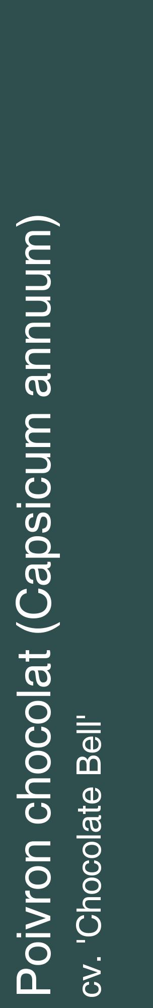 Étiquette de : Capsicum annuum cv. 'Chocolate Bell' - format c - style blanche58_basiquehel avec comestibilité