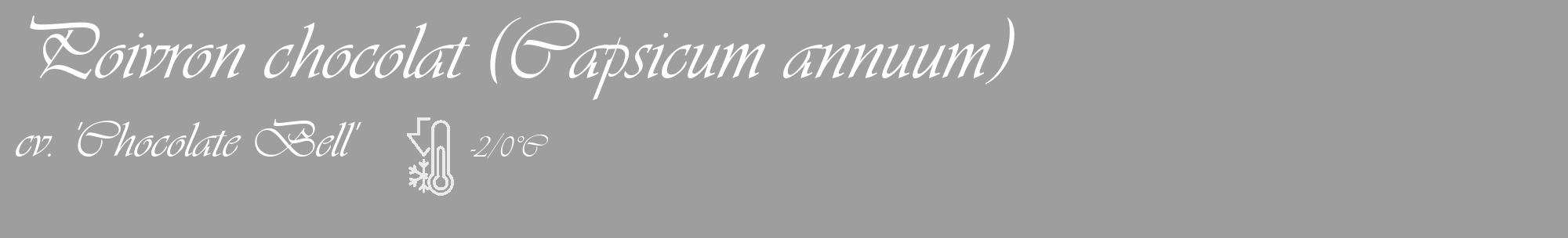 Étiquette de : Capsicum annuum cv. 'Chocolate Bell' - format c - style blanche23_basique_basiqueviv avec comestibilité