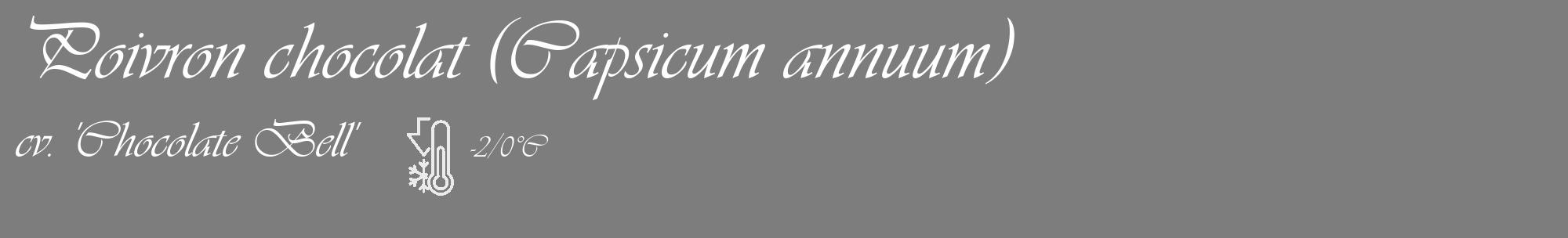 Étiquette de : Capsicum annuum cv. 'Chocolate Bell' - format c - style blanche35_basique_basiqueviv avec comestibilité