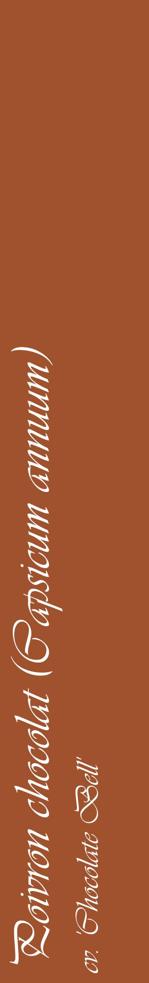 Étiquette de : Capsicum annuum cv. 'Chocolate Bell' - format c - style blanche32_basiqueviv avec comestibilité