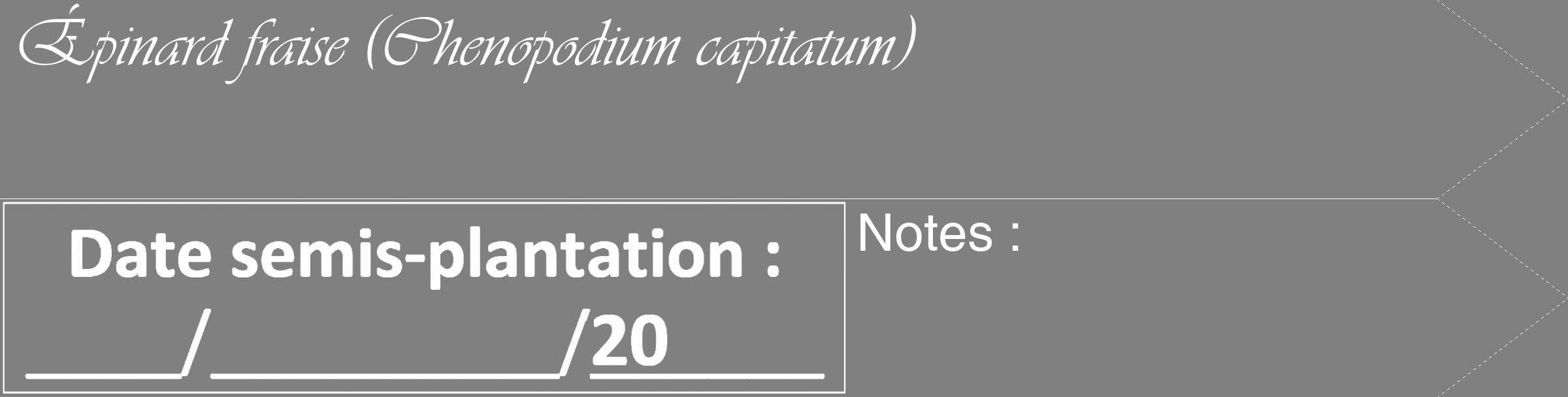 Étiquette de : Chenopodium capitatum - format c - style blanche57_simple_simpleviv avec comestibilité