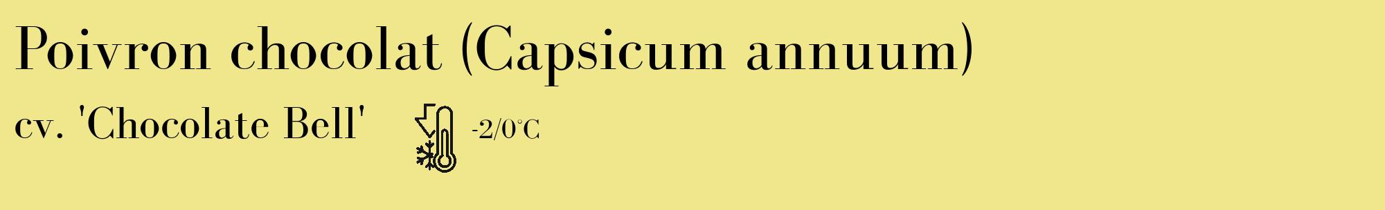 Étiquette de : Capsicum annuum cv. 'Chocolate Bell' - format c - style noire20_basique_basiquebod avec comestibilité