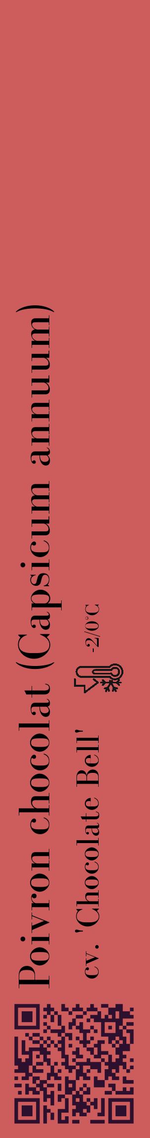 Étiquette de : Capsicum annuum cv. 'Chocolate Bell' - format c - style noire35_basique_basiquebod avec qrcode et comestibilité - position verticale