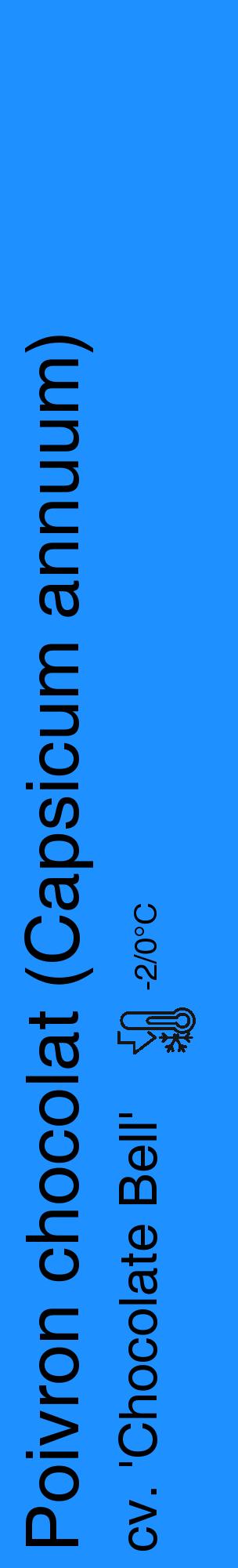 Étiquette de : Capsicum annuum cv. 'Chocolate Bell' - format c - style noire3_basique_basiquehel avec comestibilité - position verticale
