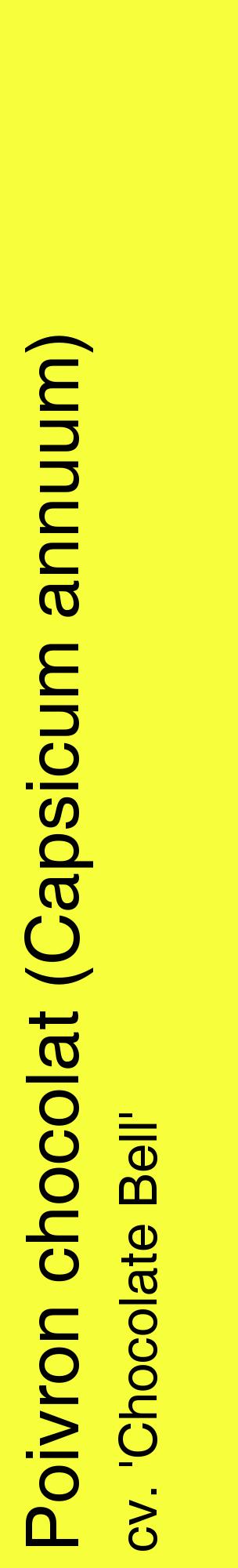 Étiquette de : Capsicum annuum cv. 'Chocolate Bell' - format c - style noire18_basiquehel avec comestibilité