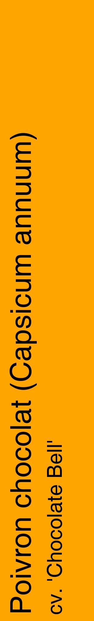 Étiquette de : Capsicum annuum cv. 'Chocolate Bell' - format c - style noire22_basiquehel avec comestibilité