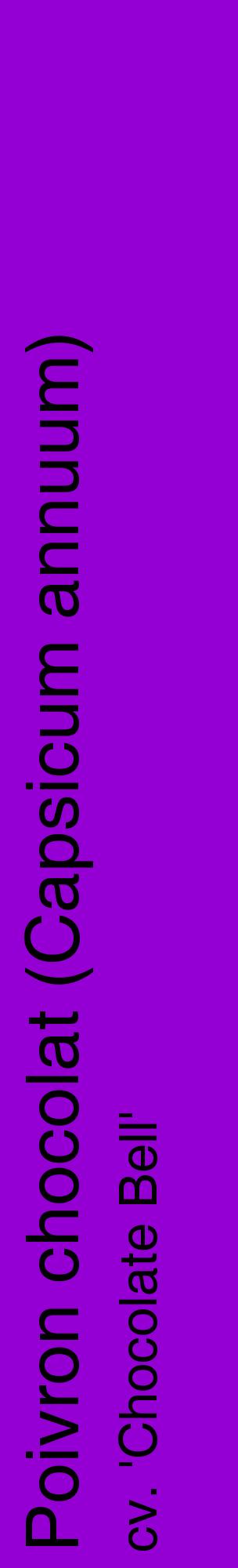 Étiquette de : Capsicum annuum cv. 'Chocolate Bell' - format c - style noire48_basiquehel avec comestibilité